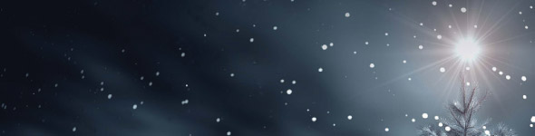 christmas majesty graphic